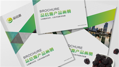 全套VI設(shè)計(jì)如何幫助企業(yè)樹(shù)立形象